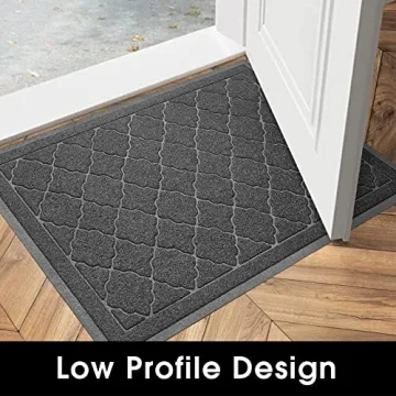 HOMEIDEAS Waterproof Non-Slip Door Mat for All Occasions