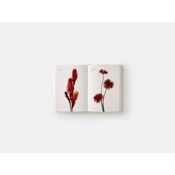 Flower Color Guide for Artists and Floral Designers