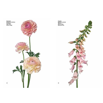 Flower Color Guide for Artists and Floral Designers