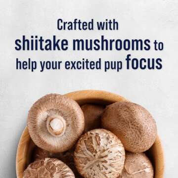 Stewart Freeze Dried Dog Treats, Salmon & Vegetable, Focus Treats, Cognitive Function, Grain Free, 8 Ounce Resealable Pouch, Made in USA