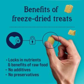 Stewart Freeze Dried Dog Treats, Salmon & Vegetable, Focus Treats, Cognitive Function, Grain Free, 8 Ounce Resealable Pouch, Made in USA