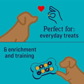 Stewart Freeze Dried Dog Treats, Salmon & Vegetable, Focus Treats, Cognitive Function, Grain Free, 8 Ounce Resealable Pouch, Made in USA