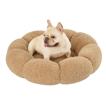 Lesure Medium Dog Bed - Chic & Comfortable Support