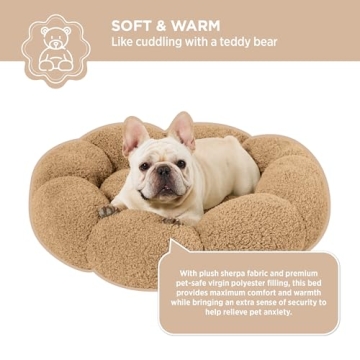 Lesure Medium Dog Bed - Chic & Comfortable Support