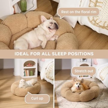 Lesure Medium Dog Bed - Chic & Comfortable Support