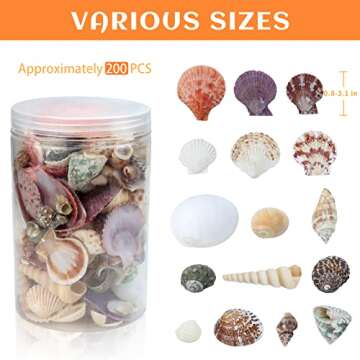 Weoxpr 200 Pcs Sea Shells Bulk Mixed Ocean Beach Seashells for Kids, Various Sizes Natural Sea Shell...
