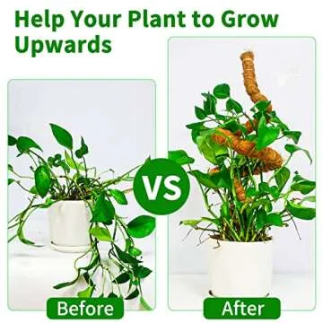 JJGoo 【4 Pack】 Tall Moss Pole,35.4 inch Bendable Plant Poles for Plants Monstera, Plant Sticks Support to Train Indoor Plants to Grow Upwards, Handmade Plant Stakes for Climbing Plants