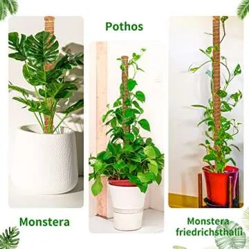 JJGoo 【4 Pack】 Tall Moss Pole,35.4 inch Bendable Plant Poles for Plants Monstera, Plant Sticks Support to Train Indoor Plants to Grow Upwards, Handmade Plant Stakes for Climbing Plants
