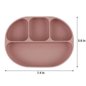 PandaEar 12PCS Silicone Baby Feeding Set | 2 Sectioned Baby Suction Plate, 2 Baby Bibs, 2 Toddler Cup, 4 Baby Spoons & 2 Baby Forks | Baby Led Weaning Supplies, Onesize