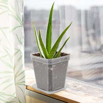 KINGLAKE 3inch Nursery Pots,24 Pcs Thick Plastic Square Planter Pots,Flower Plant Container Seed Starting Transplanting Pots (Clear)