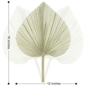 lav3life Natural Dried Palm Leaves with Natural Color for Bouquet, 4 pcs Large 18 x 12 inches Dried Palm Spear, Home Decor, Luau Party Table Decoration, Wedding Decor, Party Decoration