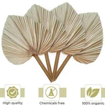 lav3life Natural Dried Palm Leaves with Natural Color for Bouquet, 4 pcs Large 18 x 12 inches Dried Palm Spear, Home Decor, Luau Party Table Decoration, Wedding Decor, Party Decoration
