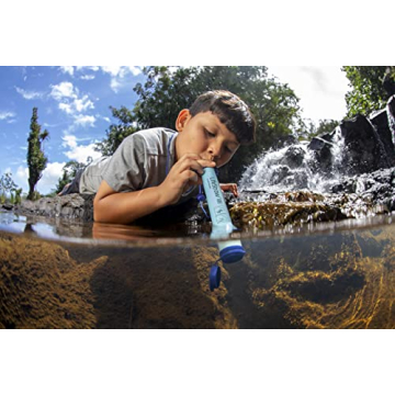 LifeStraw Personal Water Filter for Camping and Travel