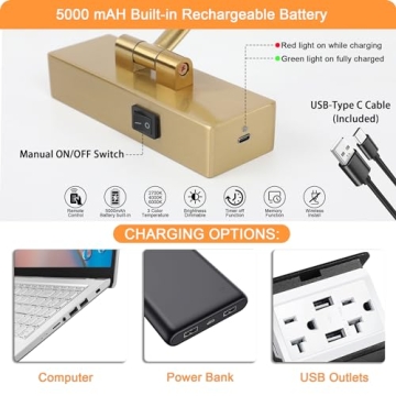 Stylish and Adjustable Tassuowell Picture Light for Your Artwork