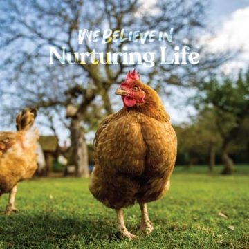 Manna Pro Poultry Grit for Healthy Poultry and Plants