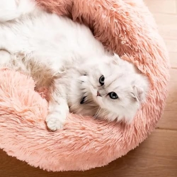 Luxurious Pet Bed for Small Pets Comfort & Relaxation