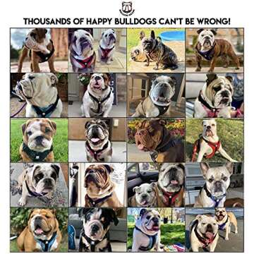 Bulldog Grade Harness for English-American-French Bulldogs - Custom Fit, No Pull, Reflective Vest Harnesses for Your Bully (Small, Pink Camo)