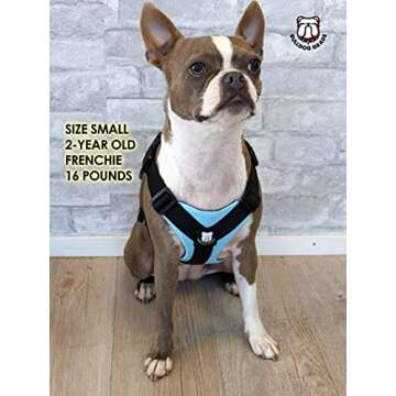 Bulldog Grade Harness for English-American-French Bulldogs - Custom Fit, No Pull, Reflective Vest Harnesses for Your Bully (Small, Pink Camo)