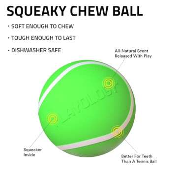 Playology Squeaky Chew Ball for Dogs | Engaging All-Natural Sweet Potato Scented Toy for Medium Dogs...