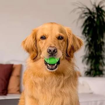 Playology Squeaky Chew Ball for Dogs | Engaging All-Natural Sweet Potato Scented Toy for Medium Dogs up to 50lbs | Squeak, Fetch, and Play