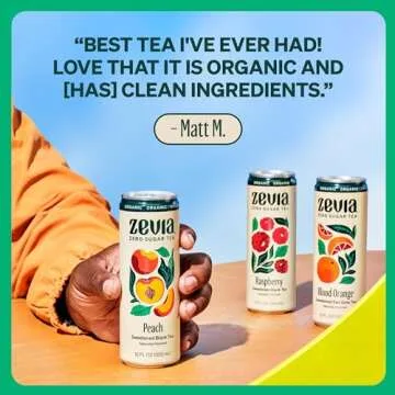 Zevia Organic Sugar Free Iced Tea, Green Tea, 12 Ounce Cans (Pack of 12)