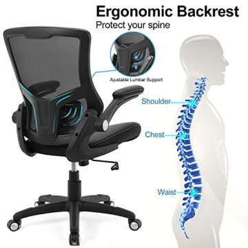 Ergonomic Office Chair with Adjustable Lumbar Support