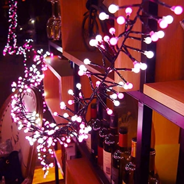 Quntis LED Cluster String Lights - 400 LED for All Occasions