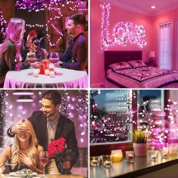 Quntis LED Cluster String Lights - 400 LED for All Occasions