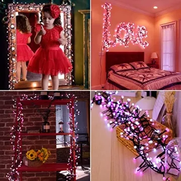 Quntis LED Cluster String Lights - 400 LED for All Occasions