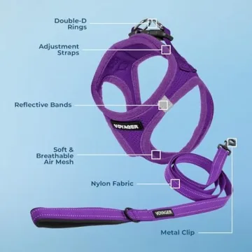 Voyager Mesh Harness & Leash Combo for Dogs - Purple Set