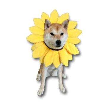 ComfyCamper Sunflower Dog Costume for Small Medium Large Dog Puppy Puppies Cat Kitten – Cute Head ...