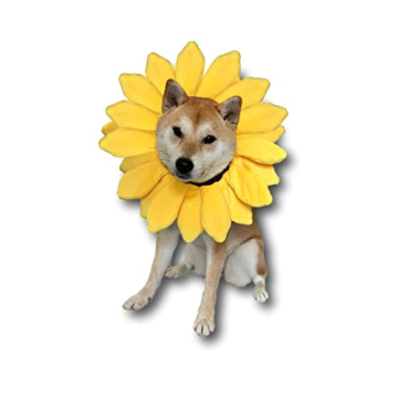 Adorable Sunflower Dog Costume for All Pets