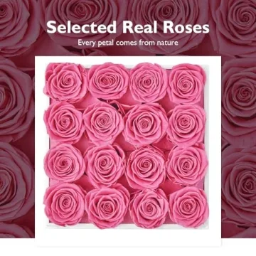Eterfield Forever Roses - Lasting Beauty Gift for Her