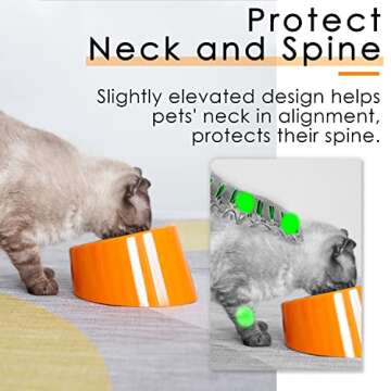 SuperDesign Mess Free 15° Slanted Bowl for Dogs and Cats, Tilted Angle Bulldog Bowl Dog Feeder, Non-Skid & Non-Spill, Easier to Reach Food S/0.5 Cup Bright Orange