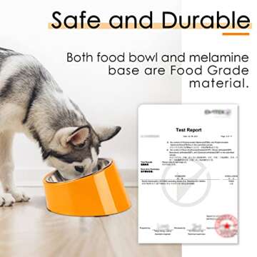 SuperDesign Mess Free 15° Slanted Bowl for Dogs and Cats, Tilted Angle Bulldog Bowl Dog Feeder, Non-Skid & Non-Spill, Easier to Reach Food S/0.5 Cup Bright Orange