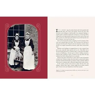 Love Immortal: Antique Photographs and Stories of Dogs and Their People