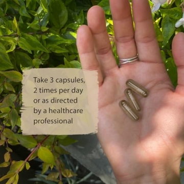 Dragon Herbs Super Adaptogen | Natural Stress Relief Supplement