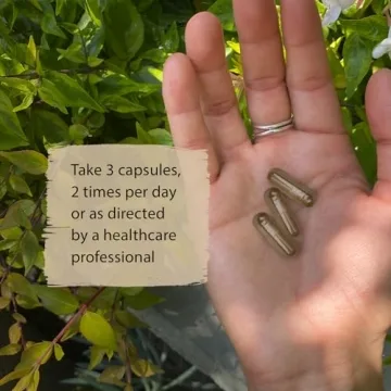 Dragon Herbs Super Adaptogen | Natural Stress Relief Supplement