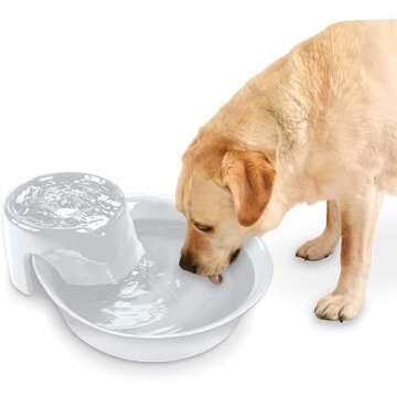Pioneer Pet Big Max Ceramic Drinking Fountain for Pets, White, 8 lb