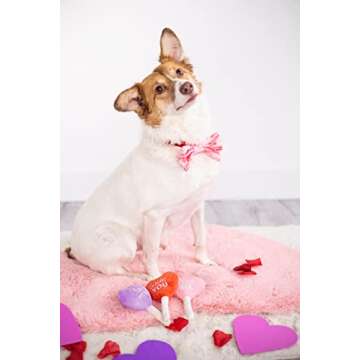 Pearhead Valentine's Day Plush Dog Toys, Holiday Pet Toys, Pet Owner Gifts, Squeaky Toys for Dogs, C...