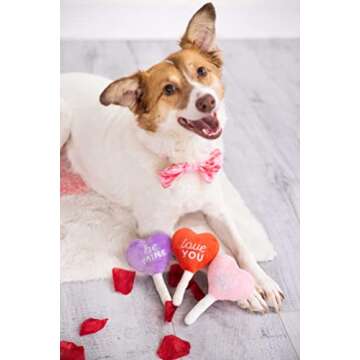 Pearhead Valentine's Day Plush Dog Toys, Holiday Pet Toys, Pet Owner Gifts, Squeaky Toys for Dogs, Candy Conversation Hearts Toys, Set of 3