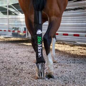 BioMane Horse Tailbag with Secure Dual Straps - Ultimate Protection for Your Horse's Tail