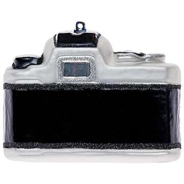 Hand Blown Glass Camera Christmas Ornaments - 2 Pack