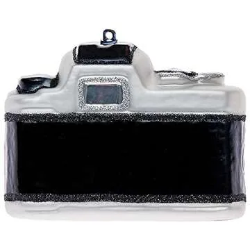 Hand Blown Glass Camera Christmas Ornaments - 2 Pack