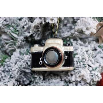 Hand Blown Glass Camera Christmas Ornaments - 2 Pack