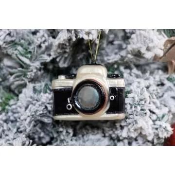 Hand Blown Glass Camera Christmas Ornaments - 2 Pack