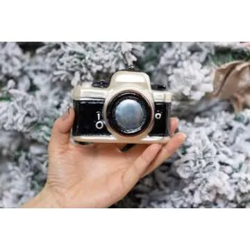 Hand Blown Glass Camera Christmas Ornaments - 2 Pack