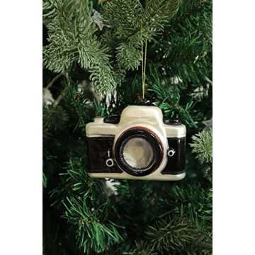 Hand Blown Glass Camera Christmas Ornaments - 2 Pack