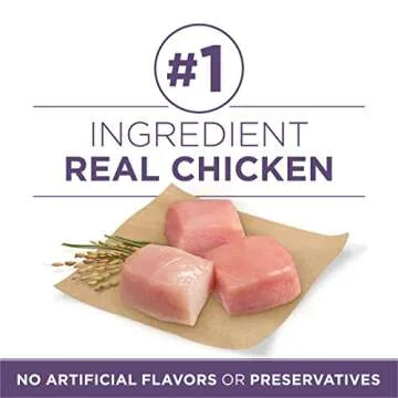 Purina ONE High Protein Dry Senior Dog Food Plus Vibrant Maturity Adult 7 Plus Formula - 16.5 lb. Bag