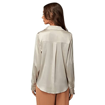 Stylish Satin Long Sleeve Blouse for Dances and More